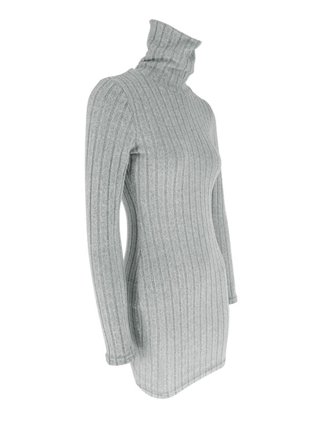 Turtleneck Ribbed Bodycon Mini Dress