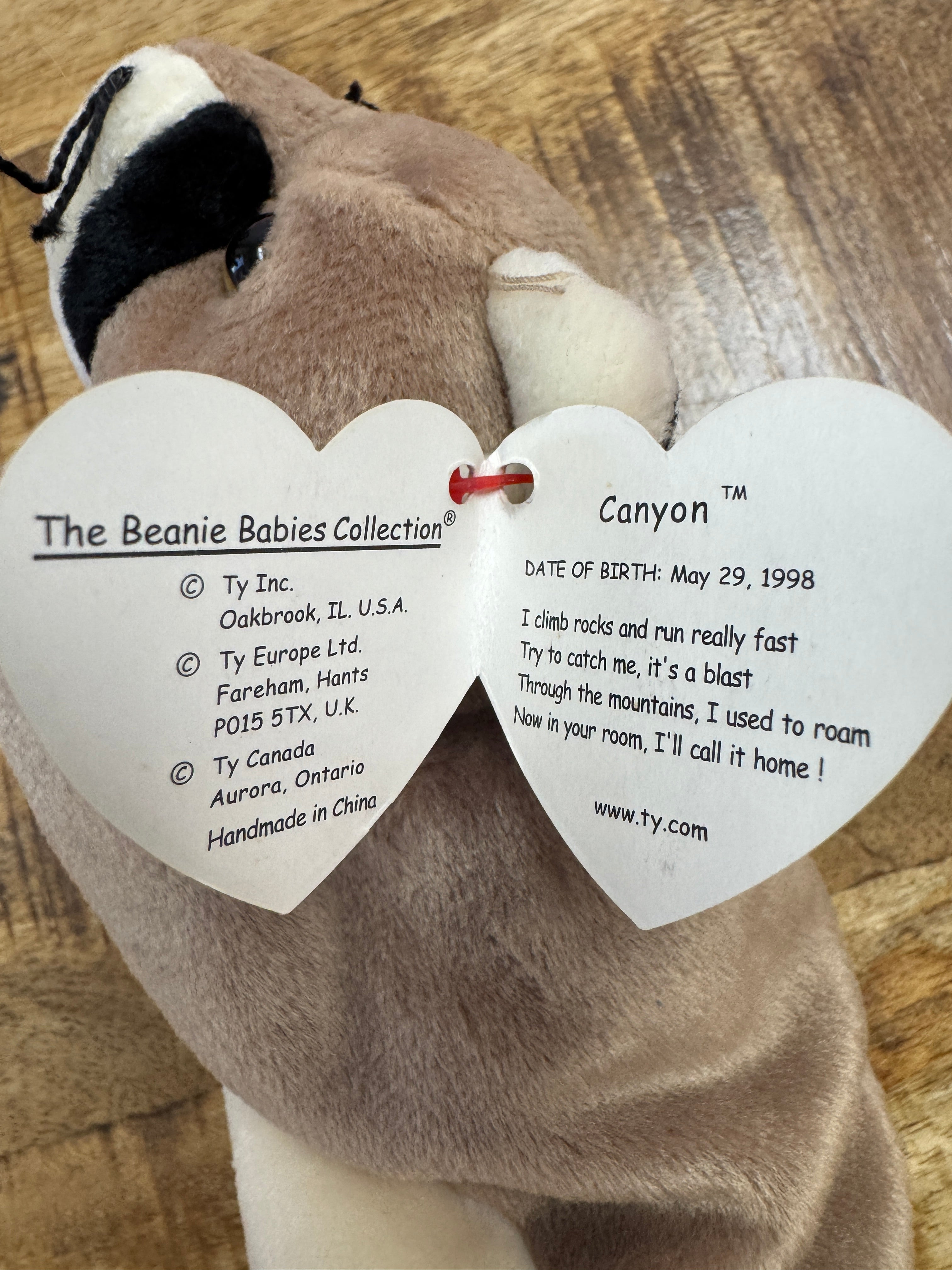 Ty Beanie Baby – Canyon the Cougar – Mint With Mint Tags Errors Rare 1998