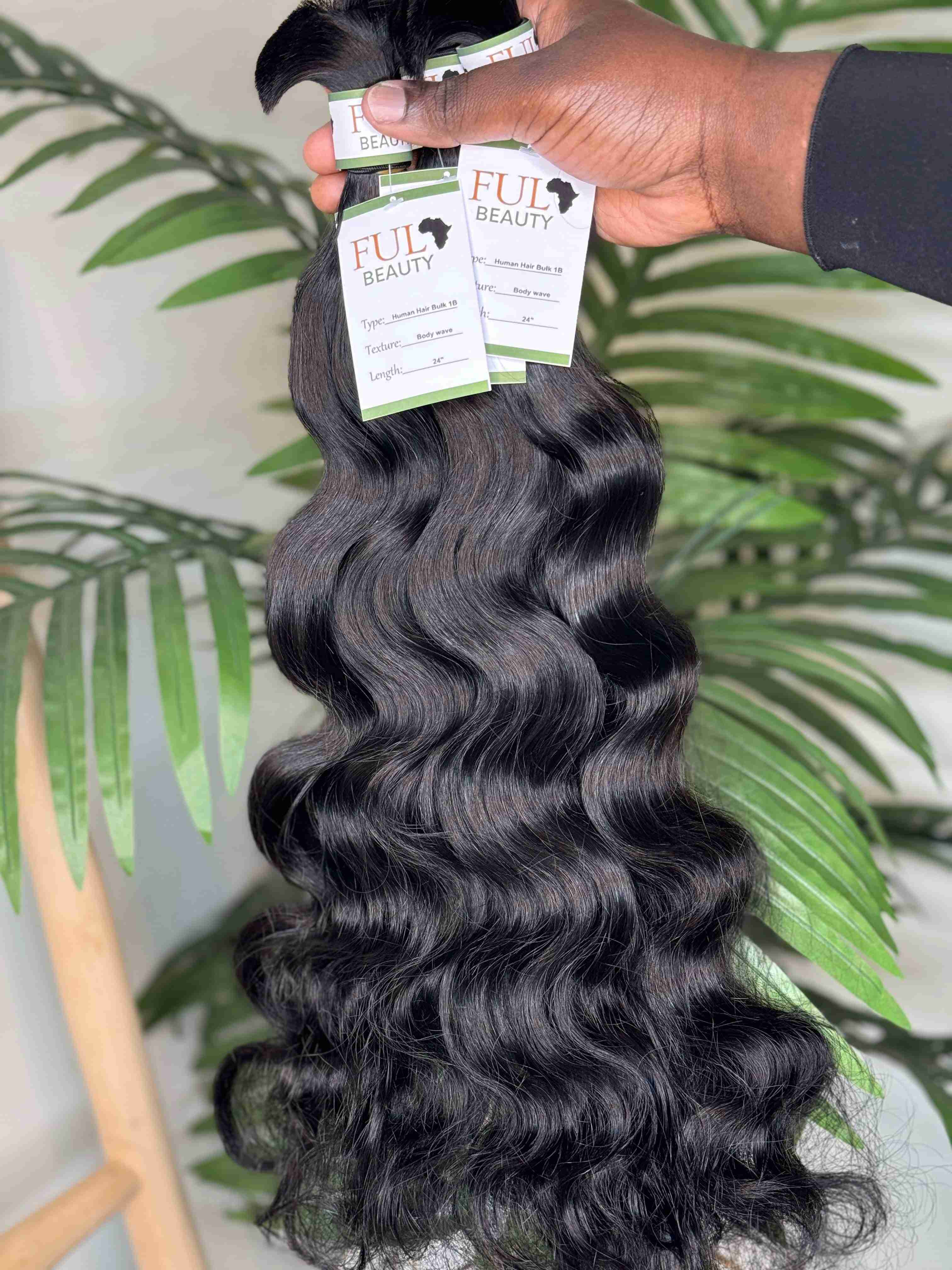 Body Wave